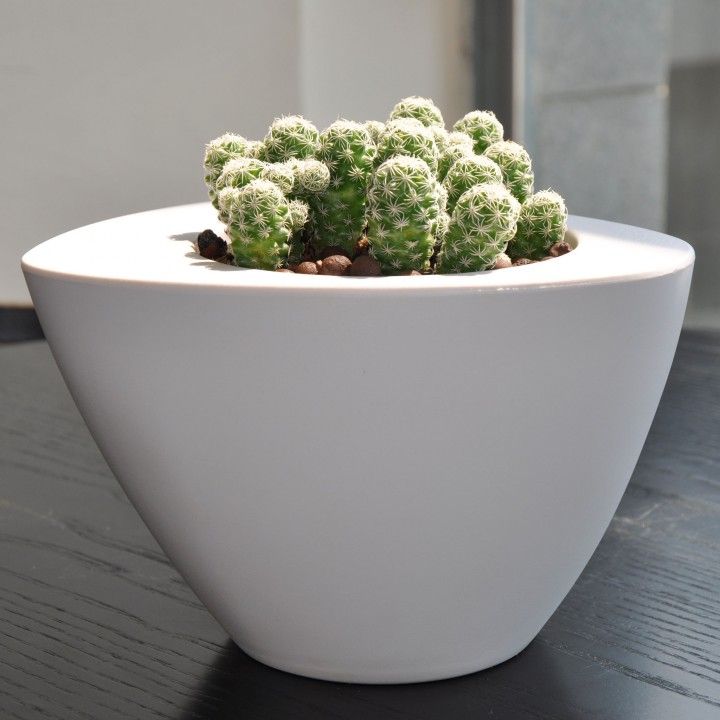 Vase Ovale Couleurs Vase Ovale Couleurs