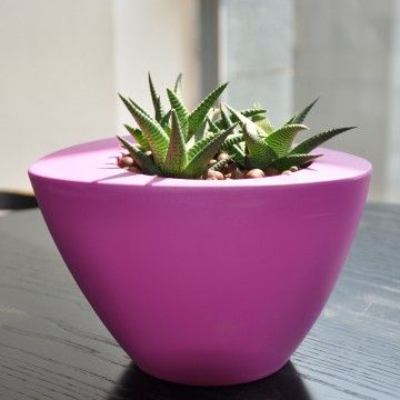 Vase Ovale Couleurs Vase Ovale Couleurs