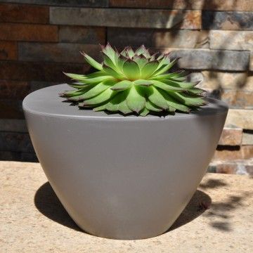 Vase Ovale Couleurs Vase Ovale Couleurs