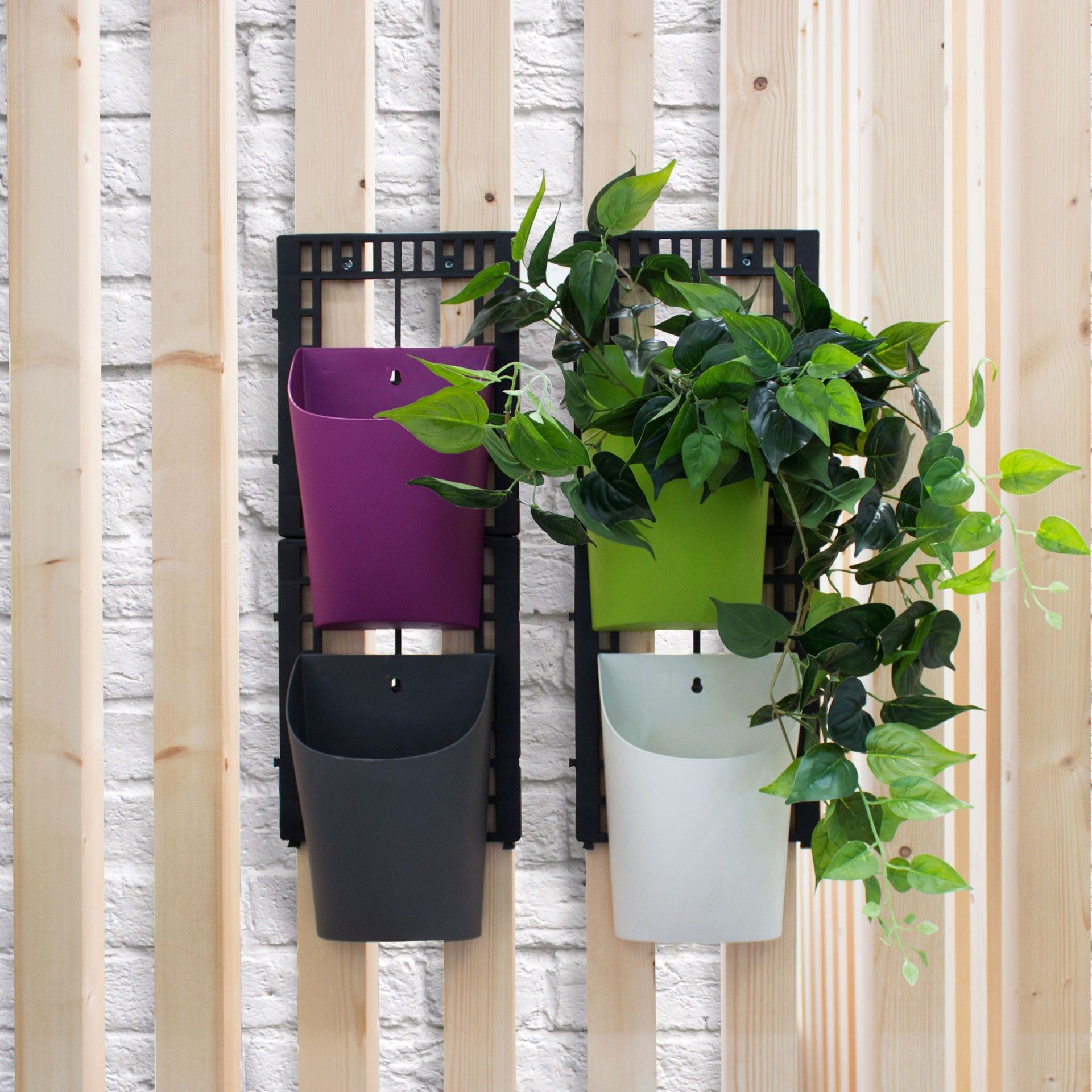 Set 4 couleurs de vases