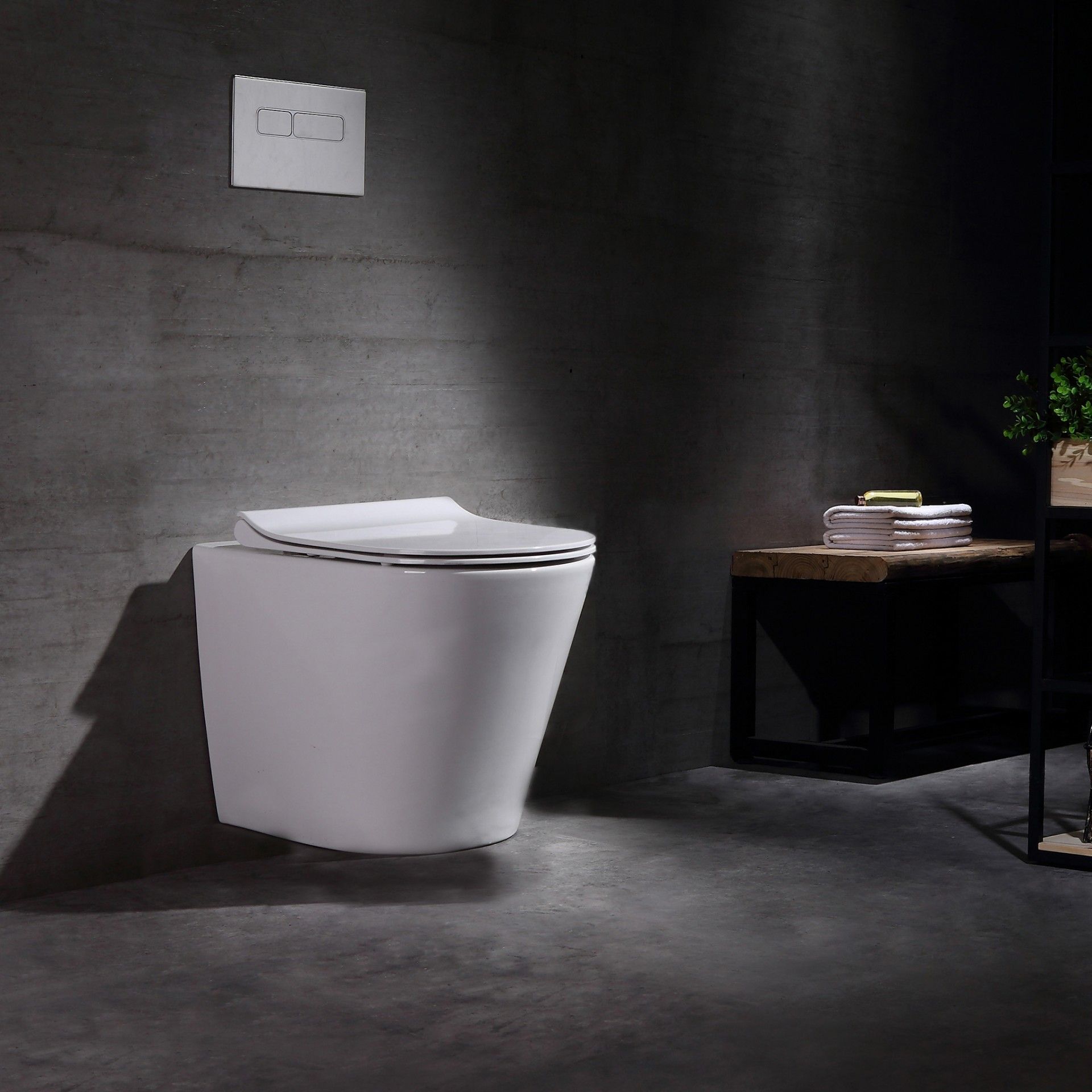 Ferrara Wall-hung Toilet with Top