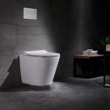 Ferrara Wall-hung Toilet with Top Ferrara Wall-hung Toilet with Top