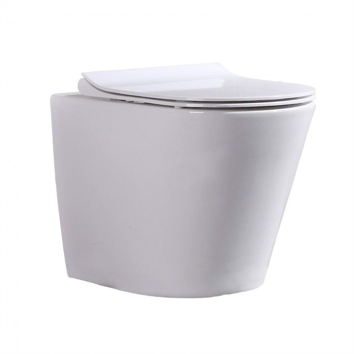 Ferrara Wall-hung Toilet with Top Ferrara Wall-hung Toilet with Top