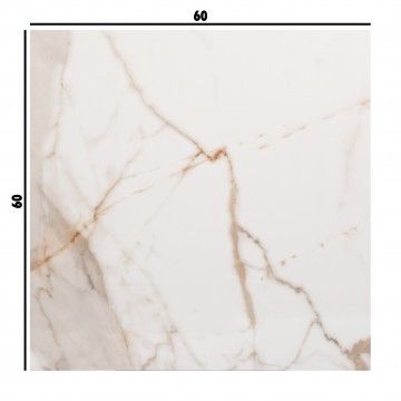 Porcelánico Rectificado Streightex Calacatta Gold 60x60 Porcelánico Rectificado Streightex Calacatta Gold 60x60