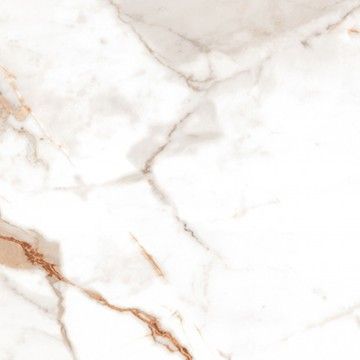 Porcelnico Retificado Calacatta Ouro Natural 60x60